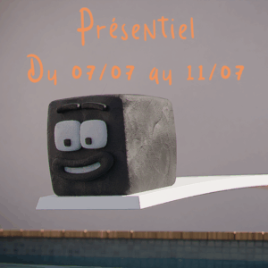 Camp d'été d'animation 3D 2025 du 07/07 au 11/07 - Présentiel